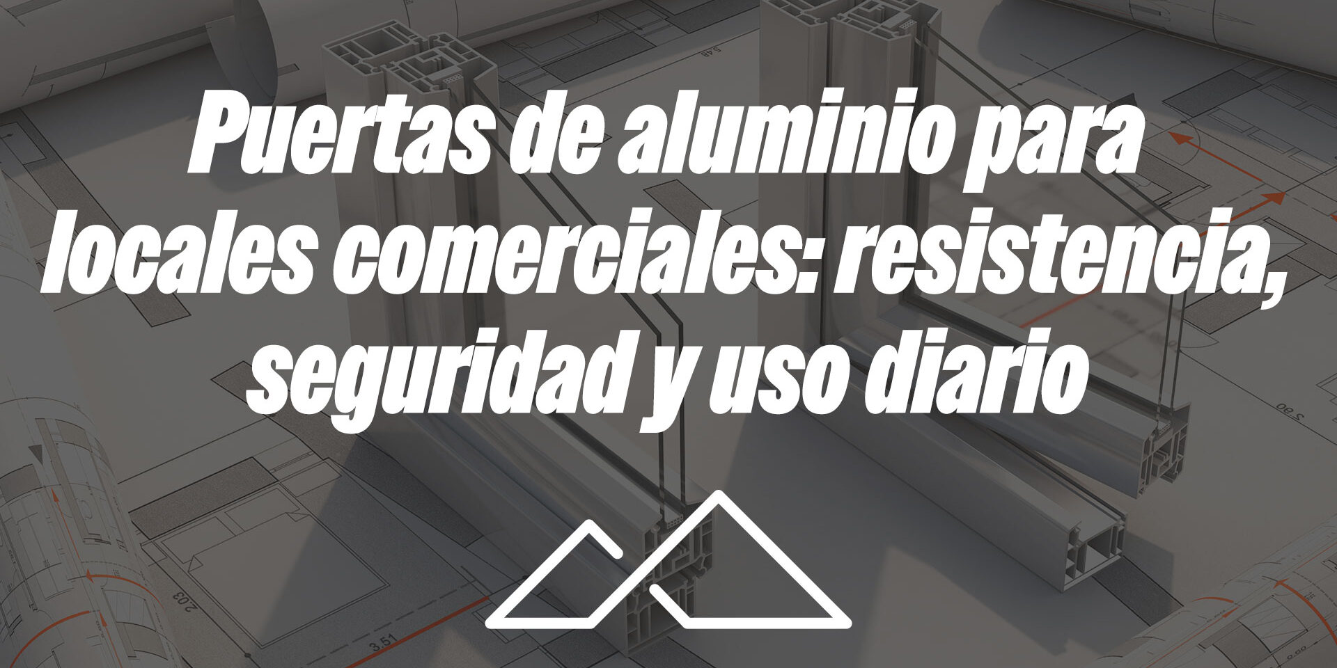 Puertas de aluminio para locales comerciales: resistencia, seguridad y uso diario Puertas de aluminio para locales comerciales: resistencia, seguridad y uso diario